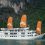 Du Thuyền Paradise Cruises